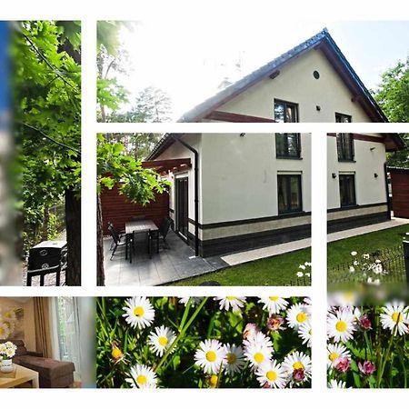 Daisy - Sunny Flowers Apartments Lukecin Exterior photo