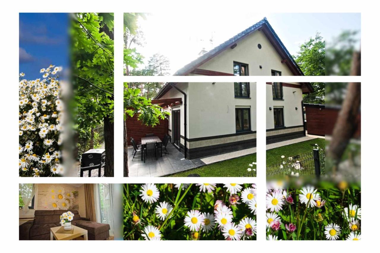 Daisy - Sunny Flowers Apartments Lukecin Exterior photo